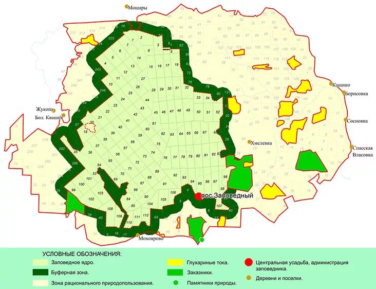 Схема заповедника. Буферная зона это в географии. Биосферная зона это. Буферная зона. Построение буферных зон.