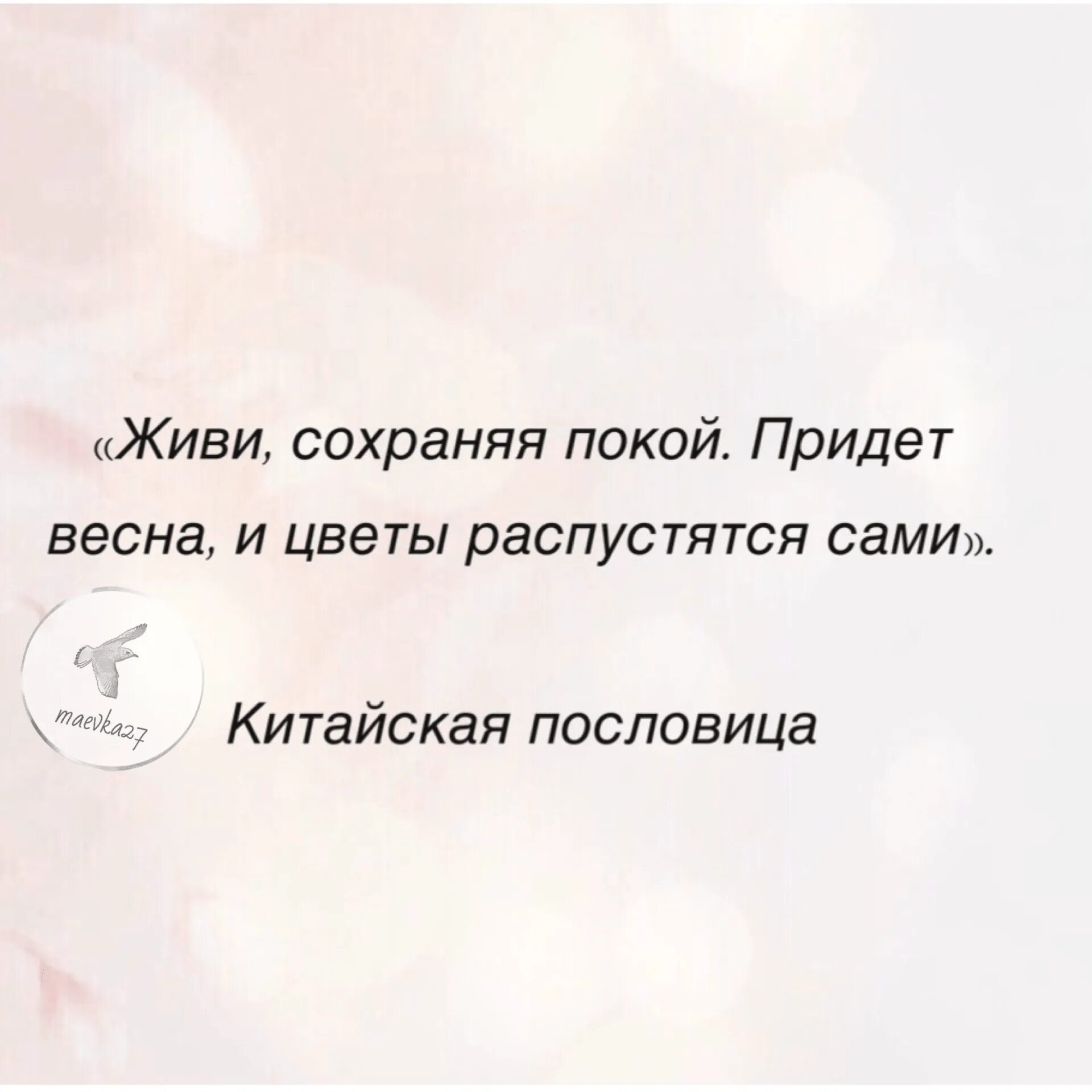 Живи сохраняя покой. Цитаты про весну. Афоризмы про весну. Весенние цитаты.