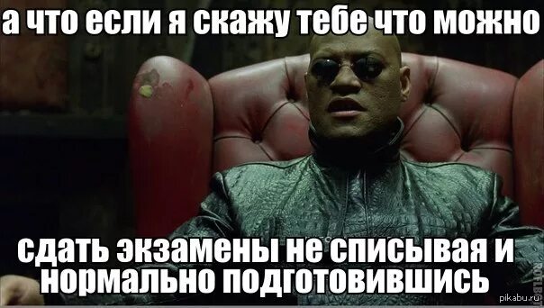 Что делать если сдал