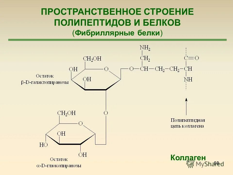 Белки полипептиды. Аминокислоты пептиды белки схема. Пептиды. Аминокислота полипептид. Пептиды полипептиды белки.