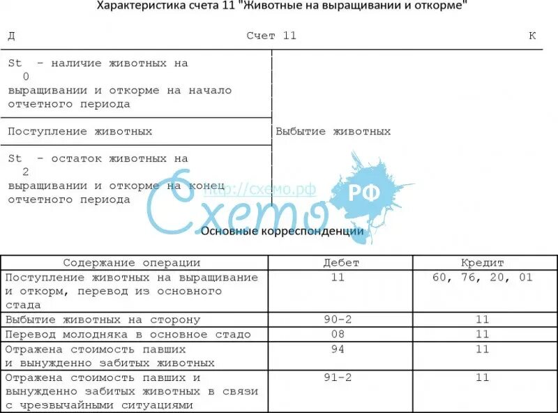 Учет животных на выращивании и откорме. Животные на выращивании и откорме счет. Структура счета 11. Счет 11 животные на выращивании и откорме.