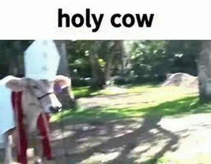 Holy meme
