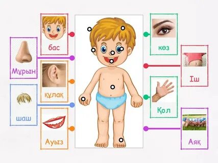 Пискадағы презерватив