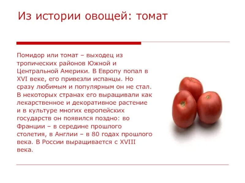 Проект для 2 класса про помидоры Ответы : Как можно помидоры назвать... По-другому