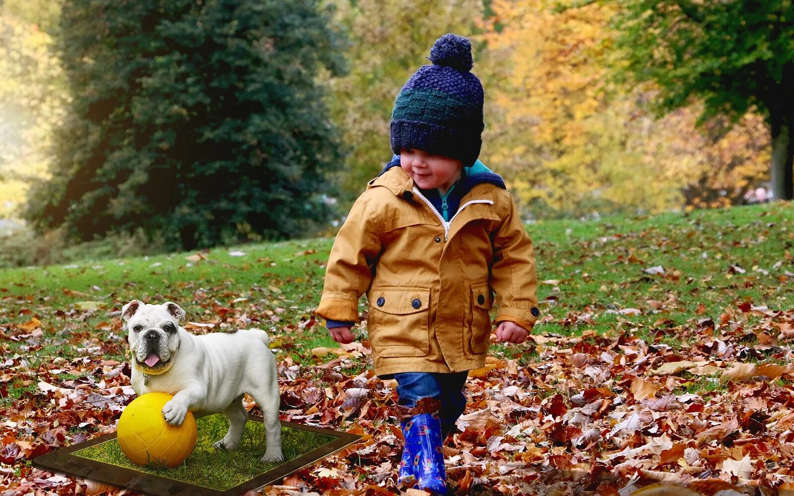 Досуг осень. Осень для детей. Осенняя прогулка. Мальчик осенью. Осенний парк для детей.
