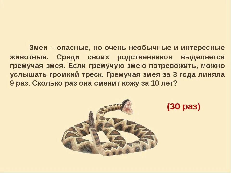 Интересные факты о гремучей змее. Имена для змей. Рассказ про гремучую змею. Гремучая змея описание.