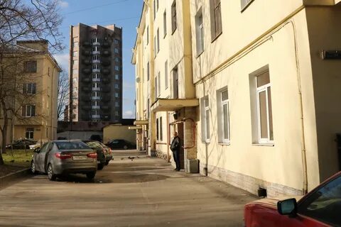 Палевский жилмассив в санкт петербурге