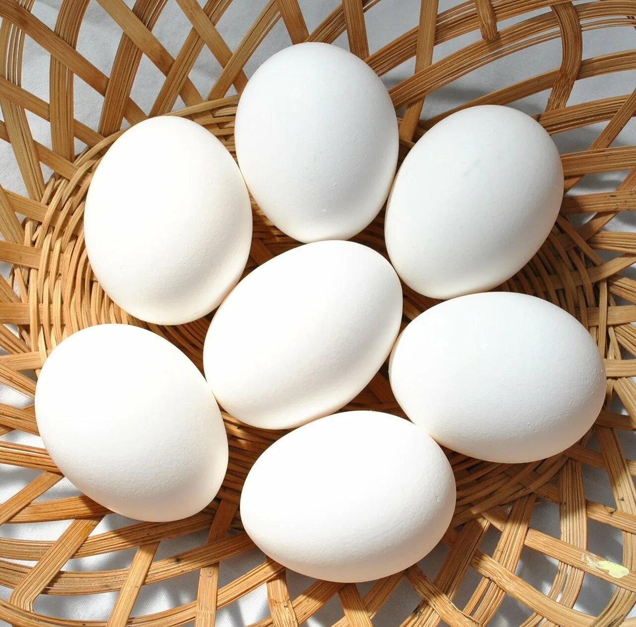 Egg картинки
