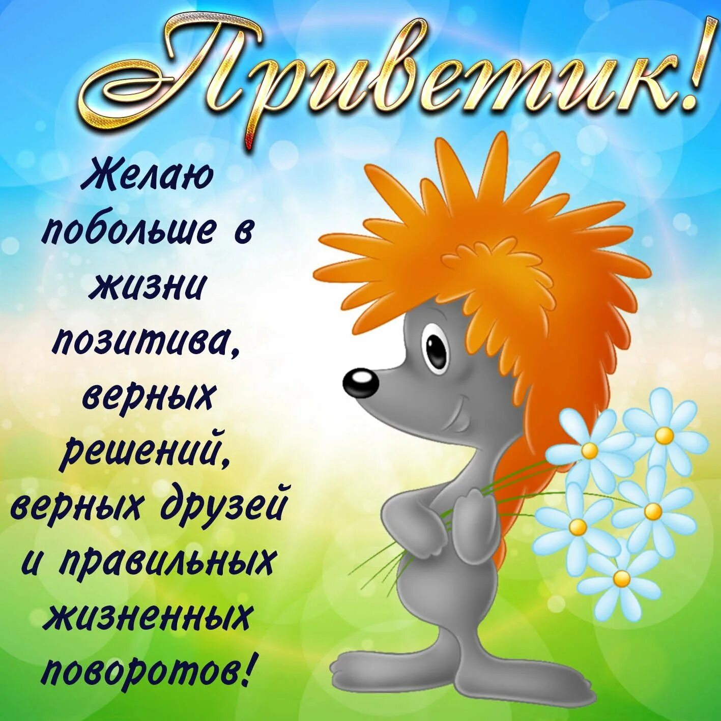 Смешное позитивное пожелание доброго