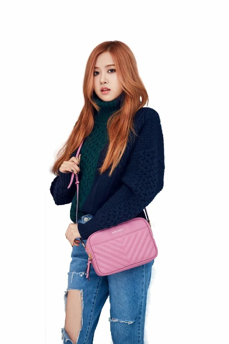 Плюшевые игрушки black pink. Блэк пинк. rose blackpink. дженни блэк пинк. розэ blackpink png.