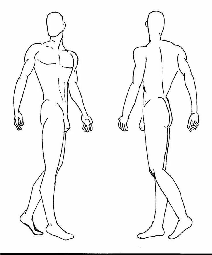 Рисунок спереди. Контур человека. Мужская фигура для рисования. Мужская фигура для эскизов. Фируля человека рисунок.