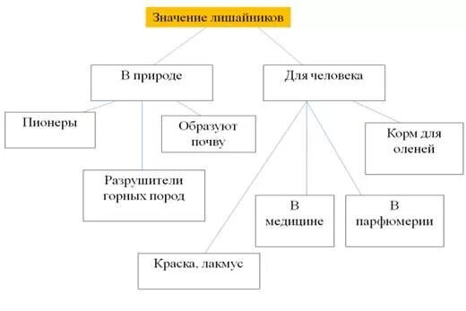 Значение лишайников таблица. Схема значение лишайников. Значение в природе лишайнико. Лишайники значение в природе.