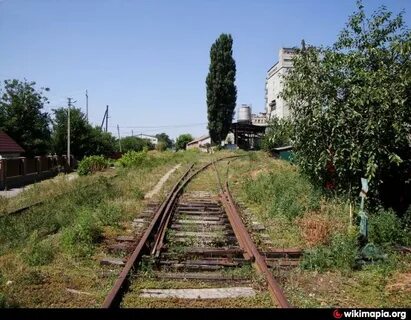 Васильков сейчас