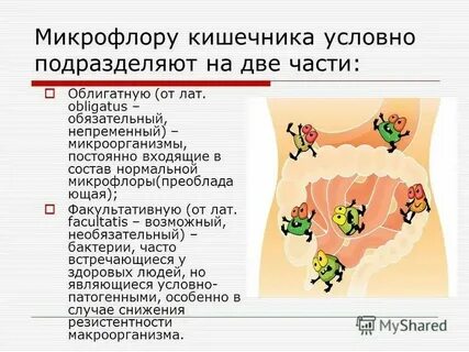 Факультативная микрофлора это