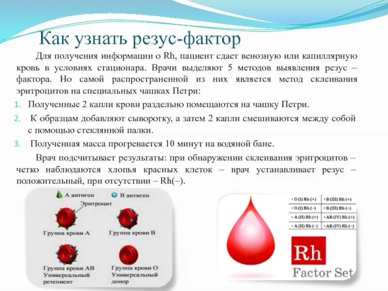 Коли резус. Классификация крови по группам и резус-фактору. Группа крови и резус фактор в норме. Как понять какой резус-фактор крови у человека. Как определитьрещус фактор.