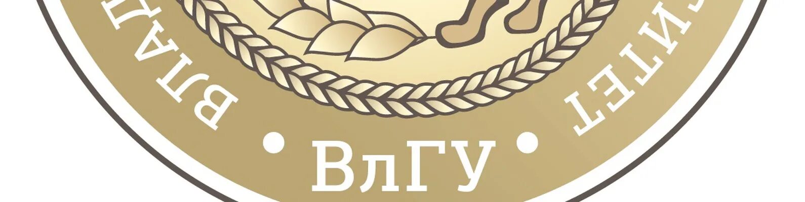 Институт экономики влгу. Институт экономики и туризма влгу. Иэим. Институты владимира. Институт экономики влгу.