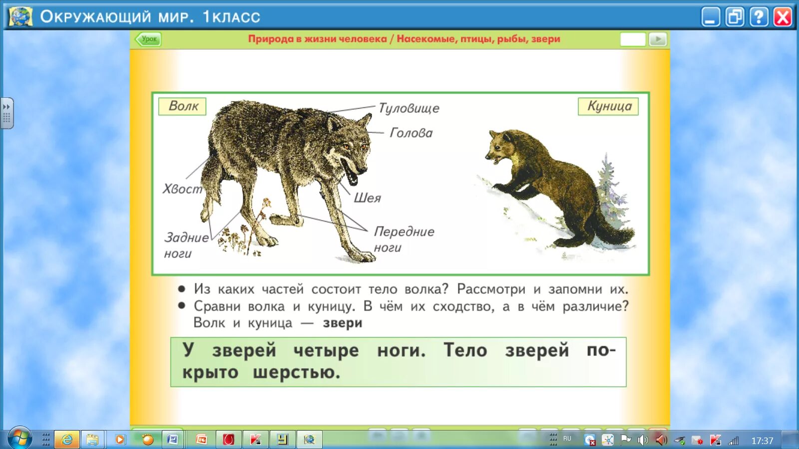 Конспект урока животные 1 класс