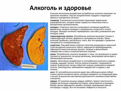 Покрыты жиром