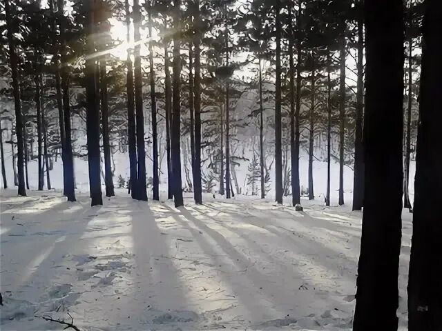 6 алексин