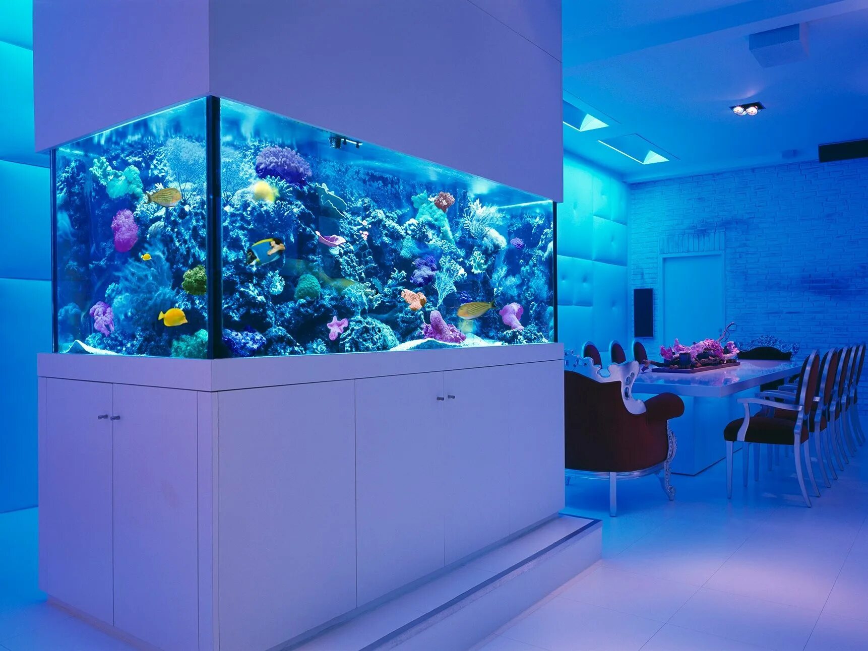 Аквариум aquarium. Аквариум в интерьере. Морской аквариум в интерьере. Красивые большие аквариумы. Аквариум с рыбками в интерьере.