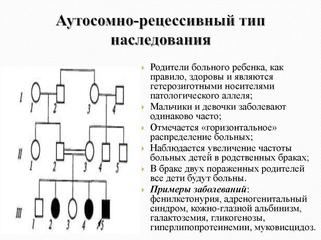 Рецессивный омега. Родословная генетика аутосомно рецессивный. Характеристика аутосомно-рецессивного типа наследования. Аутосомно-рецессивный Тип наследования схема. Аутосомно-рецессивный Тип наследования в родословной.