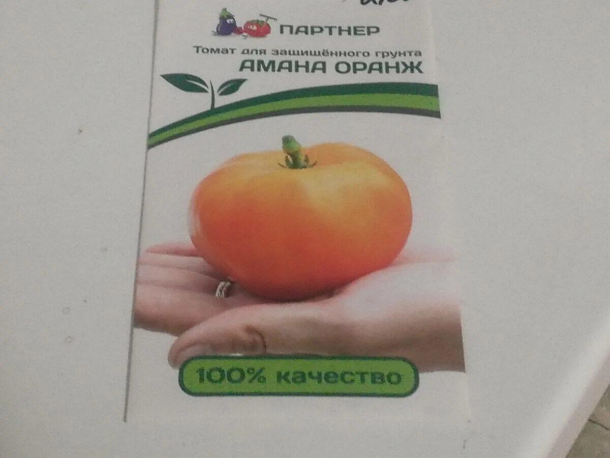 Томат Амана оранж. Томат Амана оранж f1. Семена томат Амана оранж. Амана оранж томат фирмы партнер.