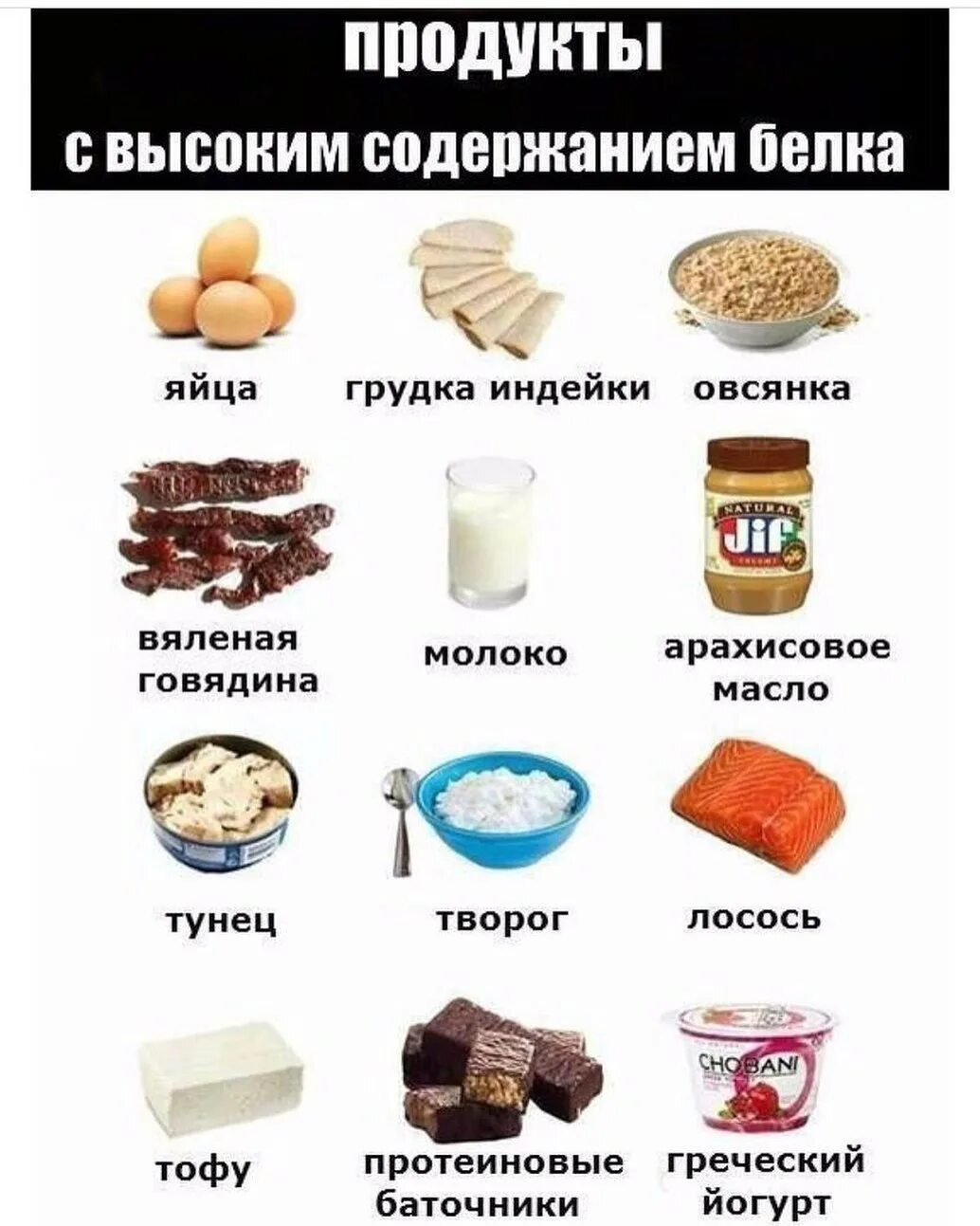 В большом количестве можно. Продукты с высоким содержанием белка. Продукты содержащие белок список продуктов. В чем содержатся белки список продуктов. Пища с высоким содержанием белков.