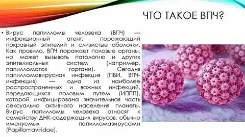 Вирус папилломы гинекология как передается