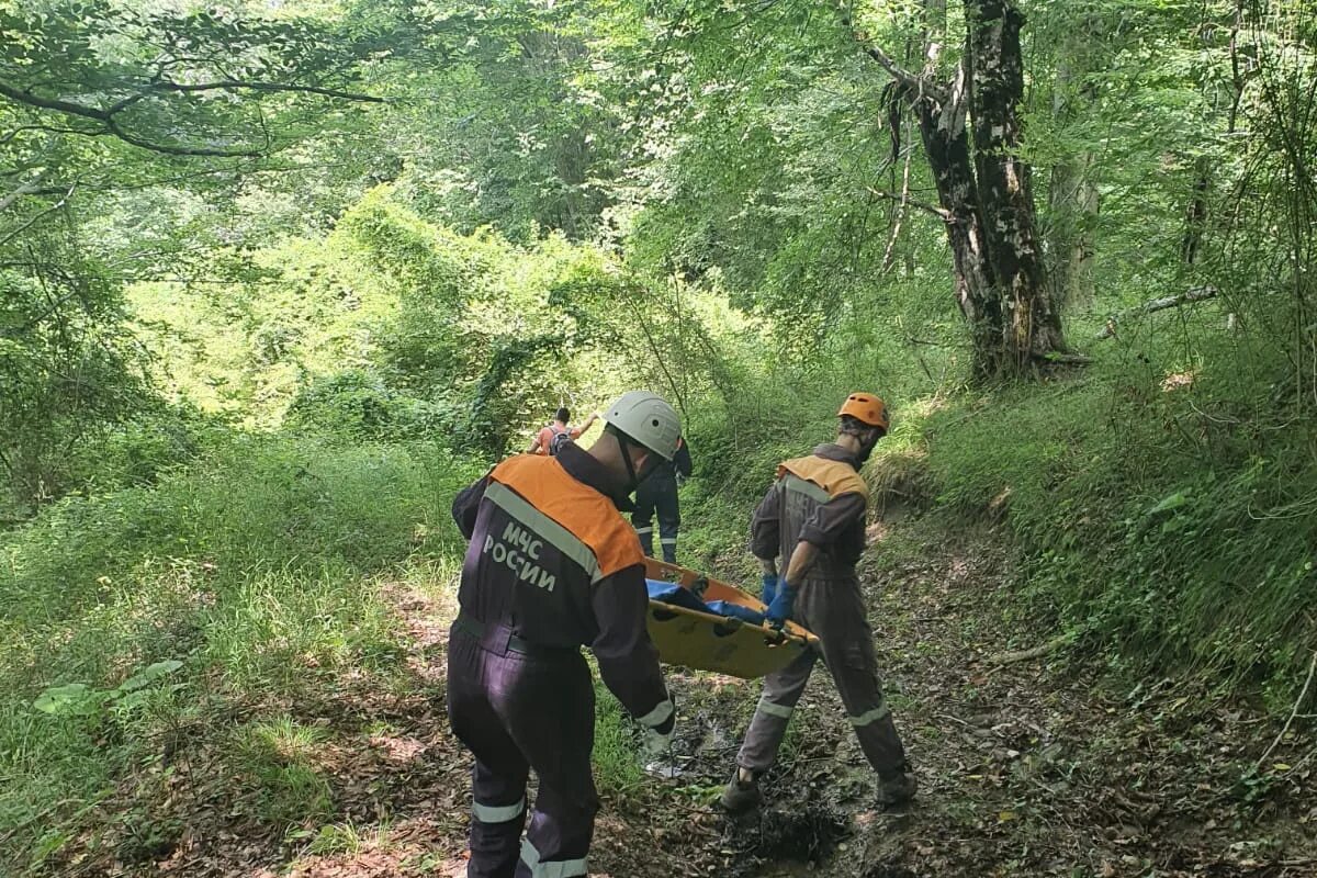 пожары в греции мчс. поисково-спасательные работы. эвакуация леса. эвакуация леса. эвакуация леса.