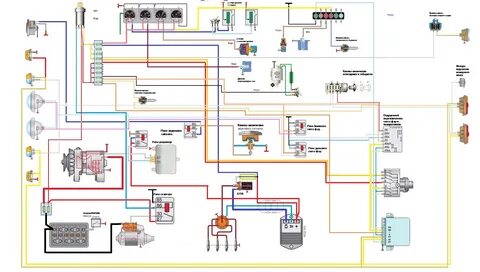 Жануарлармен таңғажайып секс видео