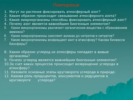 Какие организмы способны усваивать азот