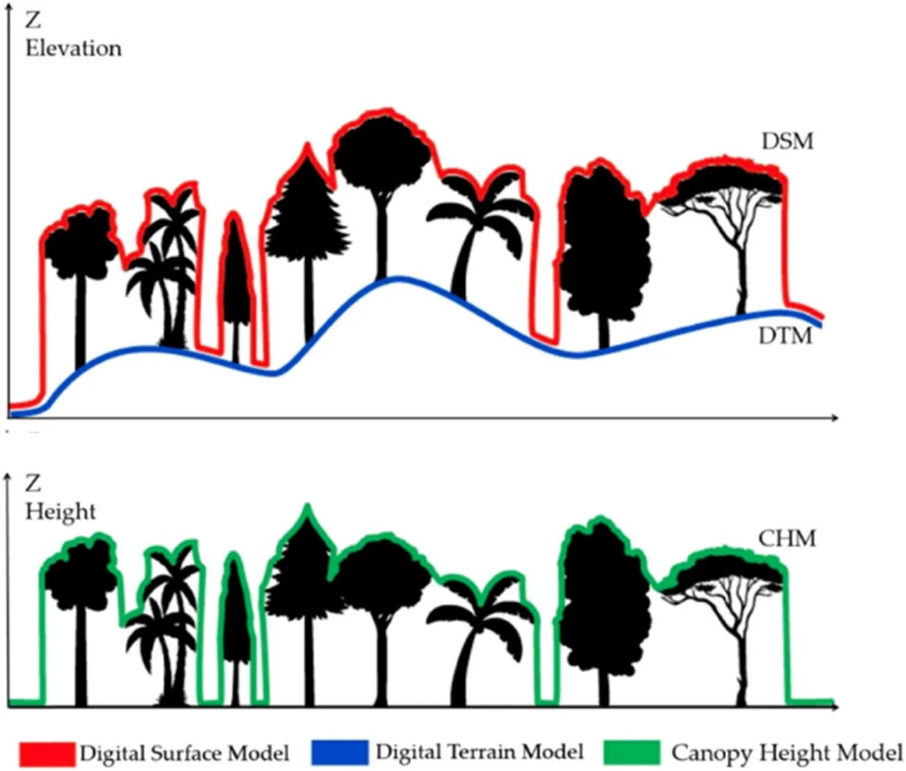 Model height. Yolo8 Tree Detection. DTM DSM Trees. What is the difference between Digital surface and Terrain model.