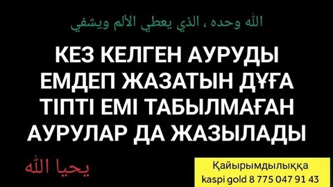 Тас жолда жезөкшелердің порно видеосы