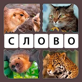 1 слово увлечение