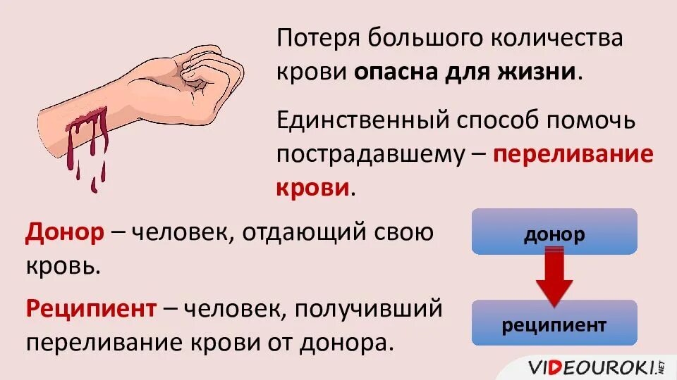 Что значит сильная кровь. Тканевая совместимость и переливание крови. Тканевая совместимость и переливание крови кратко. Группы крови тканевая совместимость. Переливание крови презентация.