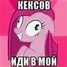 Не ходите в мой подвал пони. Смешной подвал. Это не я это мой подвал. Загадка про подвал. Mr dekart скатился.