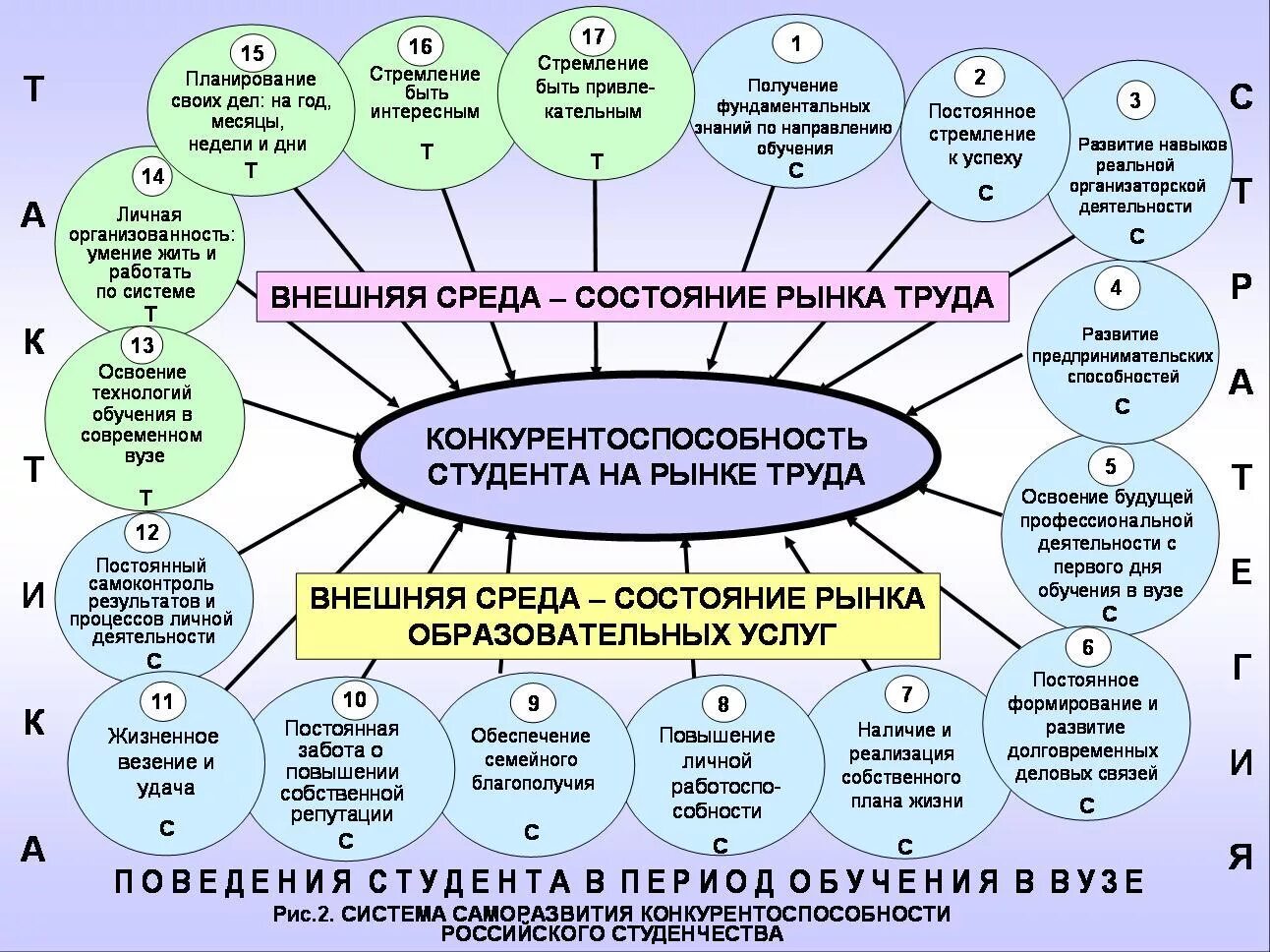 Учебный процесс социального образования. Модель формирования студентом собственной конкурентоспособности. Педагогическая модель формирования. План развития по учебной работе в вузе. Направления педагогической деятельности в вузе.