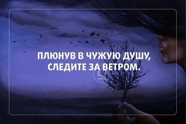 Чужая душа в человеке. Плюнув в душу следите за ветром. Плюнуть в душу цитаты. Ты плюнул мне в душу. Плюнул в душу близкий человек.