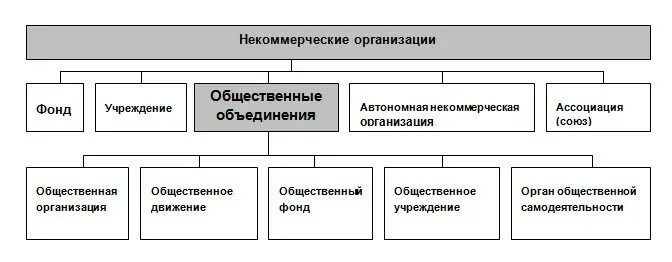 Коммерческие и некоммерческие различия. Некоммерческие организации юр лица в РФ. Организационно-правовые формы некоммерческих организаций схема. Виды предприятий. Некоммерческие организации.. Структура некоммерческих организаций в России.