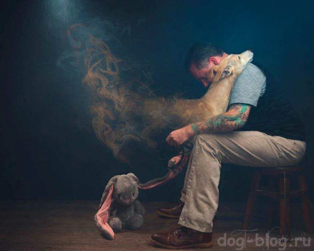 Потеря любимой собаки. Стихи о потере близких людей. Смириться со смертью любимого. Смириться со смертью любимого. Пережить смерть собаки.