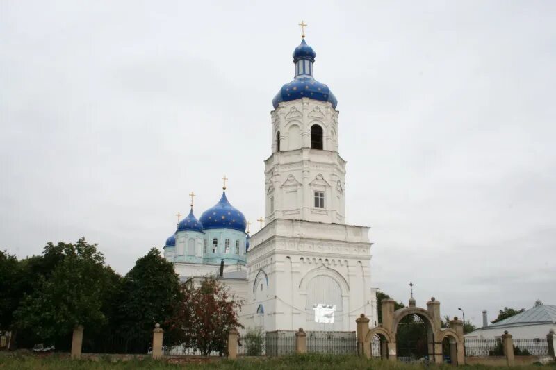 Погода в зимарово александро невского