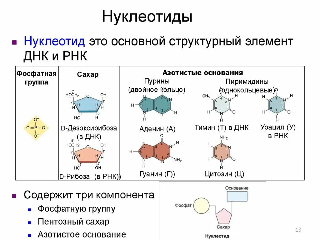 Мономер нуклеиновой кислоты аминокислота. Строение нуклеотидов нуклеотидов РНК. Строение нуклеотида формула. Строение нуклеотида общая формула. Структура нуклеотида РНК.