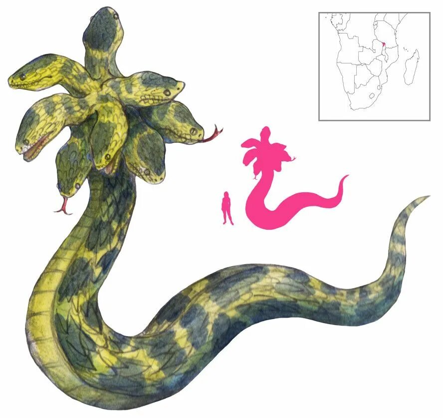 Huge sharp mythical snake like recorded. Huge sharp mythical snake like recorded