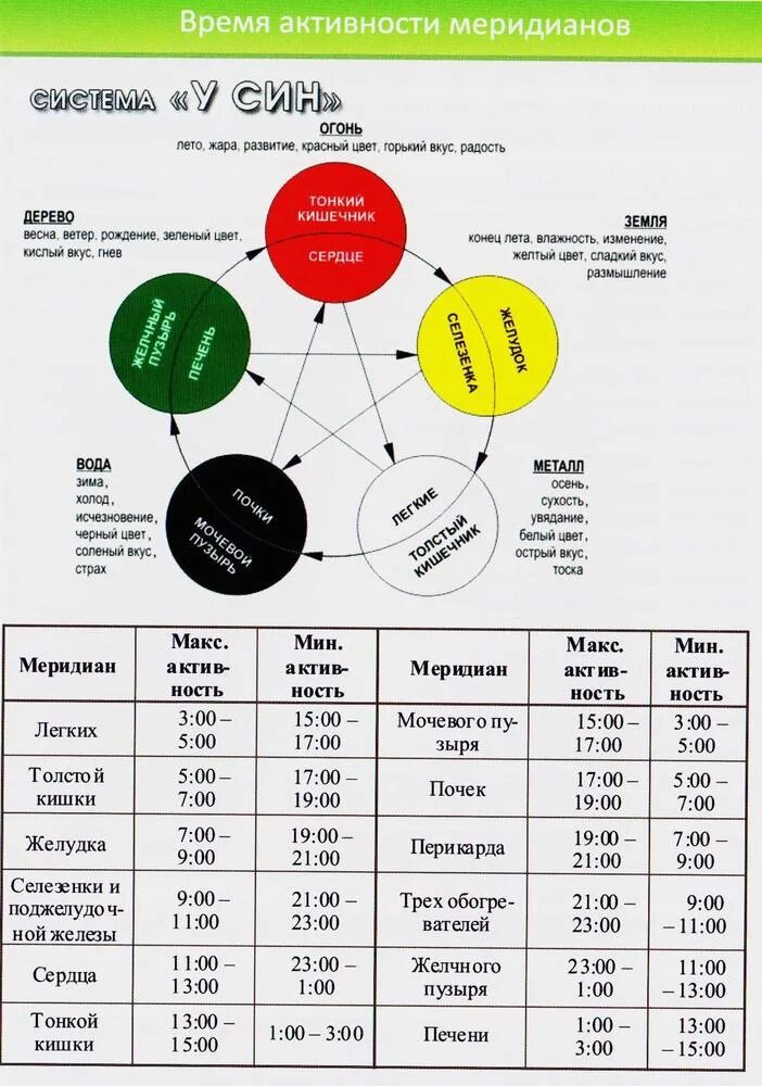 Активность органов по часам. Круг Усин по часам активности меридианов. Таблица активности энергетических меридианов. Время активности меридианов. Меридианы активность по времени.