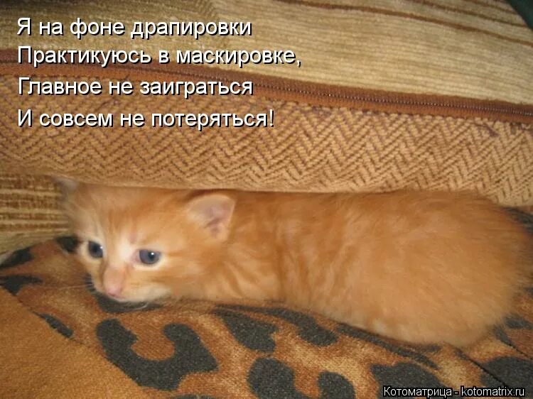 я не стану я уже старался