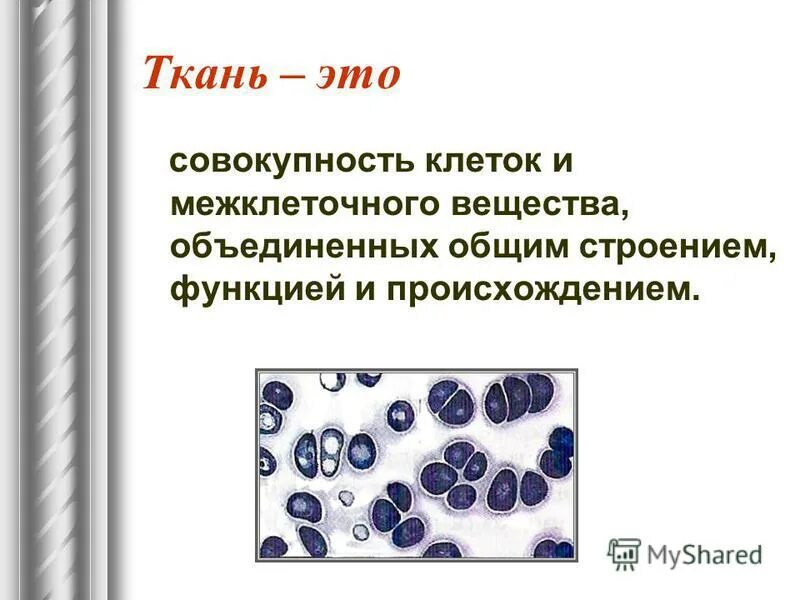 Каким объемом межклеточного