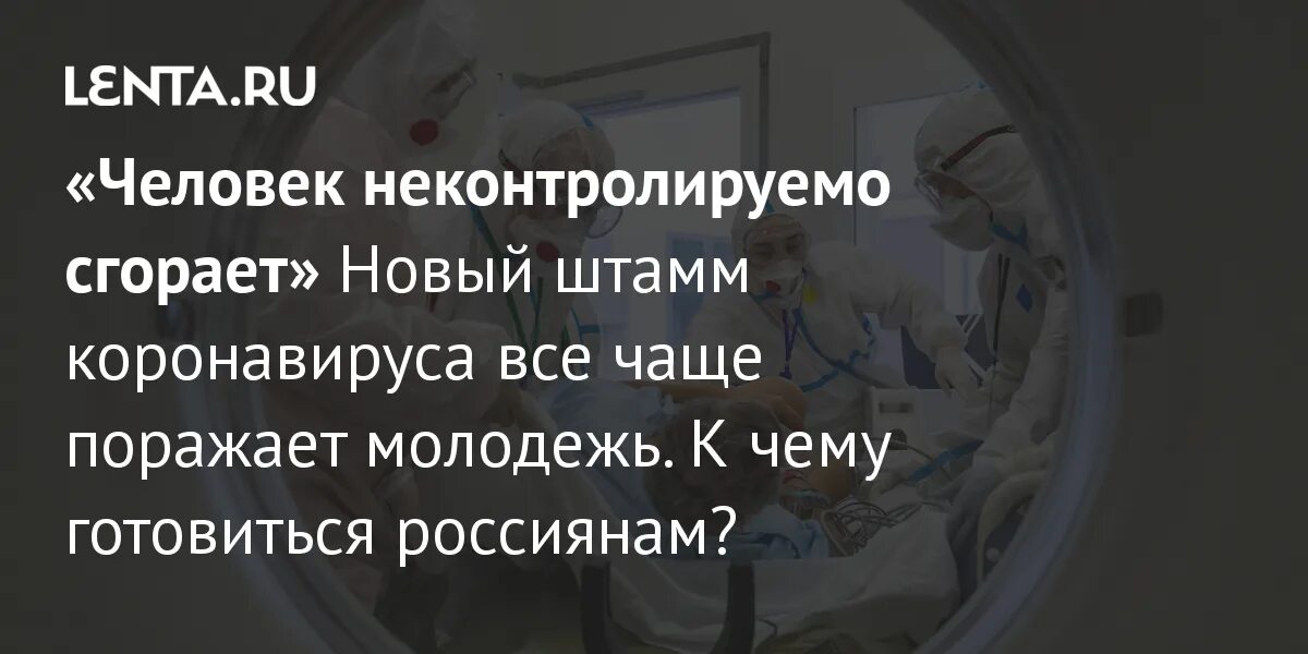 К чему готовиться россиянам в ближайшее. Путинский прорыв. Изменения в налоговом с 1 декабря. Когда черепашка взрослеет она становится черепавлом картинка. Когда черепашка взрослеет она становится черепавлом картинка.