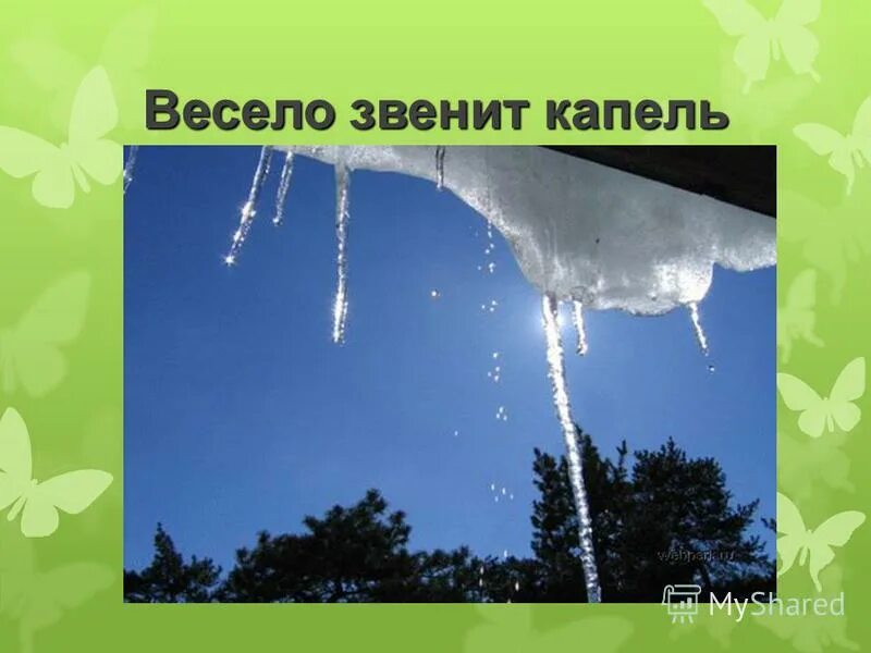 Звенит веселая капель