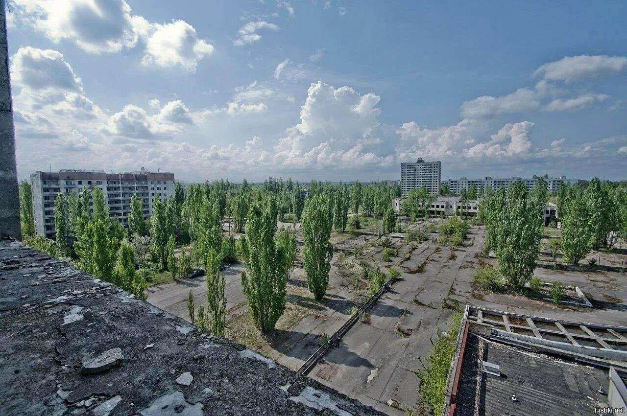 Как сейчас выглядит припять 2025. Припять центральная площадь. припять площадь 1995. припять площадь города. припять лето 2025.