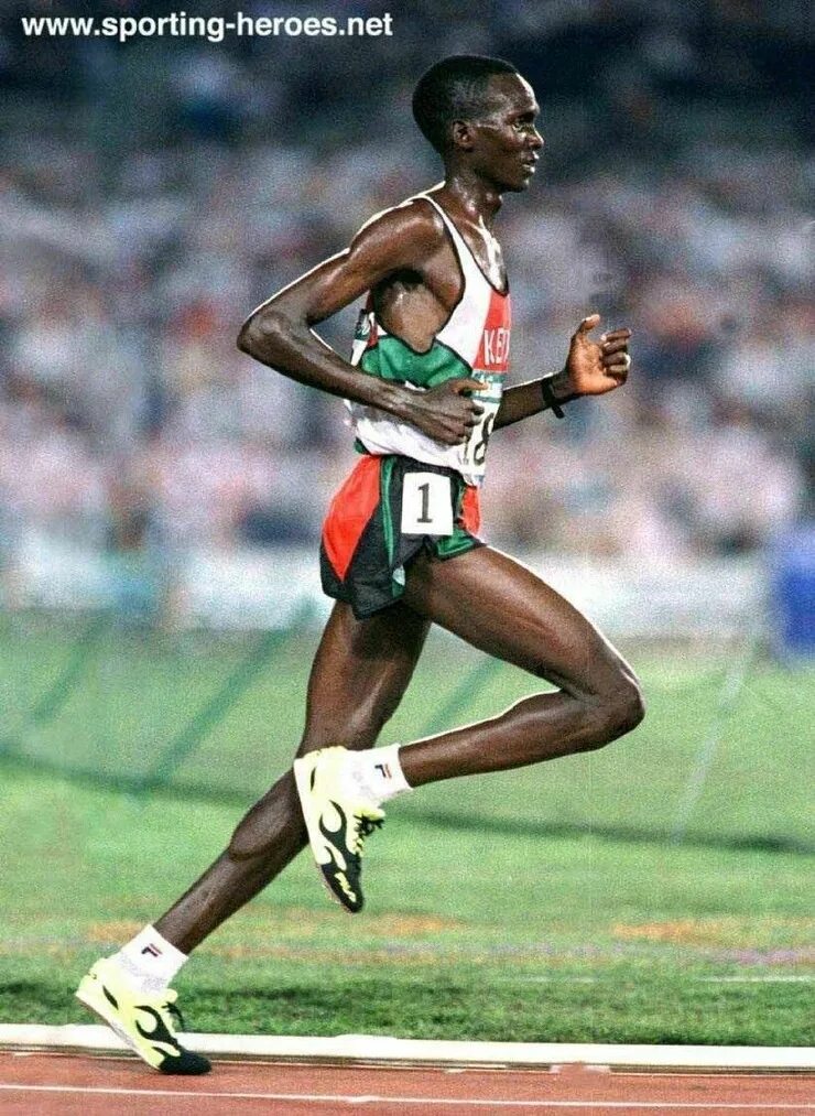 Спринтер Стайер марафонец. Кенийский бегун Ронни. Паул Тергат. Кенийцы стайеры.